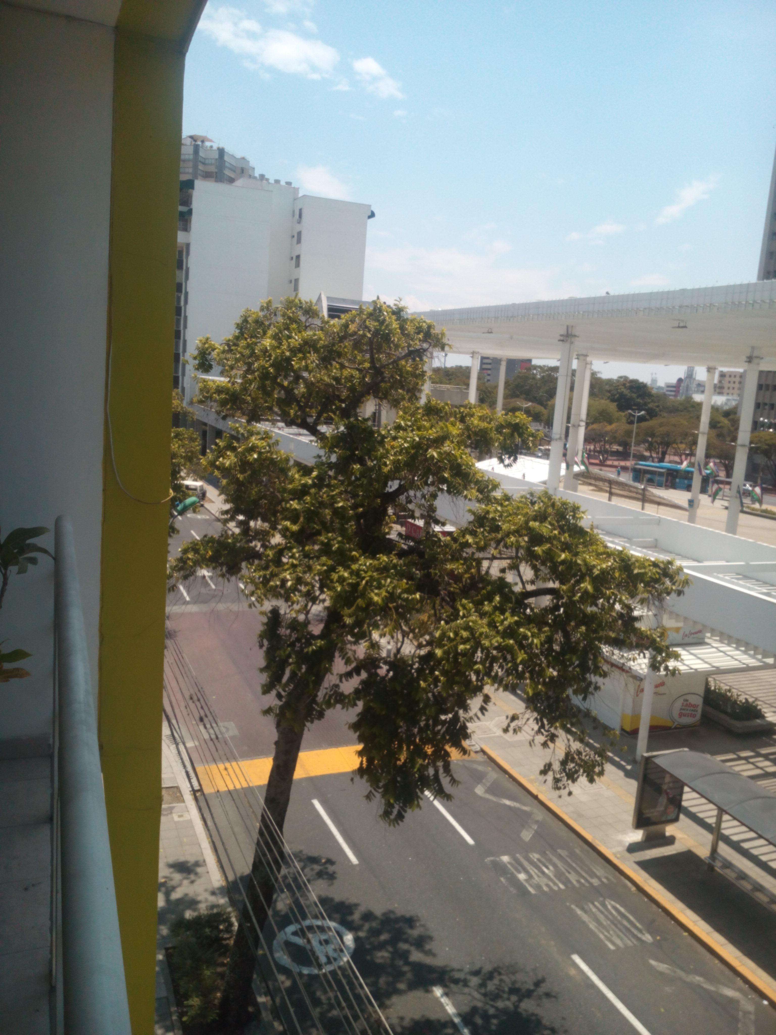Hotel Cuarta Avenida Cali Ngoại thất bức ảnh